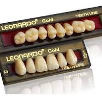 Leonardo gold x 6